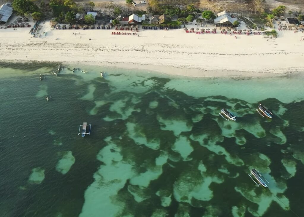 tanjung aan reef